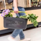 RATI BASKET  -  [verde]