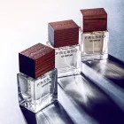 Parfum auto FRESSO Magnetic Style (50 ml)